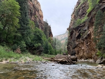 Part of The Narrows in Zion 