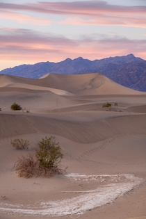 Pastel Desert Evening at Mesquite Flat Sand Dunes Death Valley 