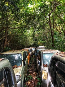 Path of abandoned cars leading to my in-laws tomb Okinawa