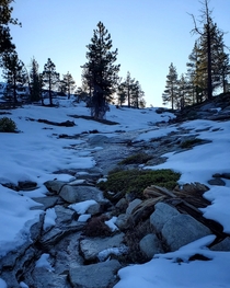 Peaceful stream in the snow at sunset Sierra National Forest CA USA 