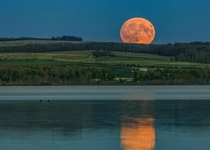 Peach-colored moon rising in Alberta Canada Photo by Diane Kawaza 