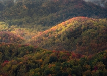 Peak Autumn Colors in the Smoky Mountains 