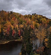 Peak Fall colors in Negaunee MI near Dead River Bridge 