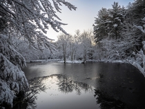 Peering in from the corner of a snow-covered pond in Massachusetts 