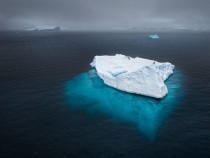 Penguins on an Iceberg 