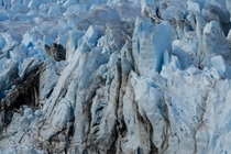 Perito Moreno Glacier  x