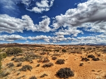 Petrified Dune - Moab UT 