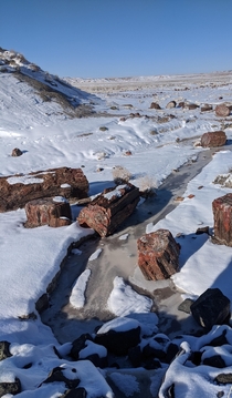 Petrified Forest National Park after a winter storm 