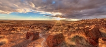 Petrified Forest National Park  Photo by Martin van Hemert original source and D panorama in comments
