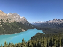 Peyto Lake Banff Canada 