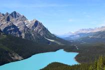 Peyto Lake Banff Canada 
