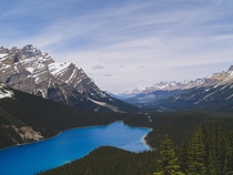 Peyto Lake Banff National Park Alberta 