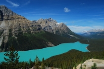 Peyto Lake - Banff National Park - Alberta Canada - 