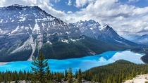 Peyto Lake in Banff National Park Alberta Canada had the most beautiful color water Id ever seen 