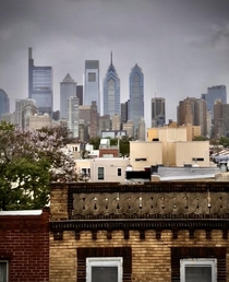 Philly from a rooftop
