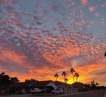 Phoenix sunset 