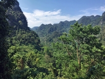 Phong Nha National Park Vietnam Jungle looks like it has never been in a war 