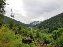 Picture I took on a walk the other day Northern Black Forest Germany 