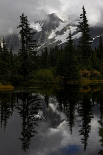 Picture Lake Washington  x