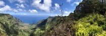 Pihea Trail Kauai Hawaii 