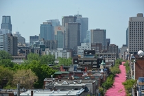 Pink river in Montreal 