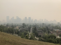 Plain old Calgary in the smoke