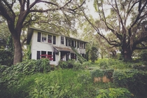 Plantation style home among the spanish moss Florida 
