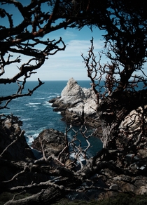 Point Lobos CA  x