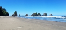 Point of Arches at Shi Shi Beach in Olympic National Park Washington State 