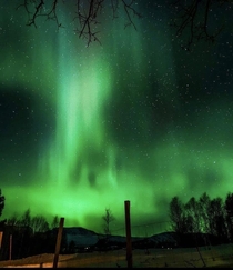 Polar lights Aurora polaris in Oppdal Norway