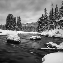 Polecat Creek in the heart of Grand Teton National Park  IG montairephotography