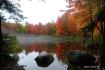 Pond in Durham Maine in the fall   Victor Ho