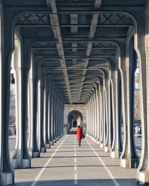 Pont de bir hakeim bridge in Paris France x