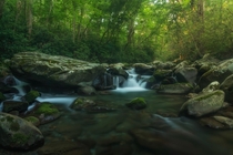 Porters Creek Trail - Greenbrier Cove - Great Smoky Mountains National Park 