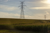 Powerlines in a Field 