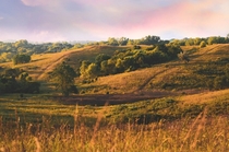 Prairie preserve in my hometown Untouched gem of the loess hills in the middle of my city of western Iowa Our state doesnt get enough recognition on here 