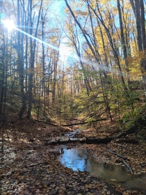 Pretty fall hikes in Hockley Valley Ontario    