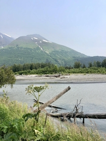 Primrose Alaska 