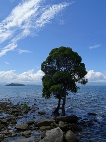Pulau Manukan Malaysia 