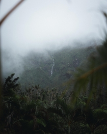 Putting the rain in rainforest - Morne Trois Pitons National Park Dominica 