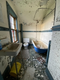 Quick little iPhone pic of this royal blue clawfoot tub in a destroyed mansion in Rhode Island