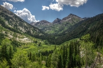 Raggeds Wilderness Area Colorado 