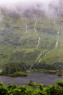 Rain all day today turned the highlands of Scotland into a wild waterfall adventure 