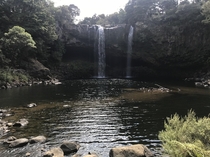 Rainbow Falls New Zealand Surrounded by the forest and very peaceful and quiet 
