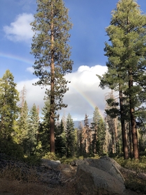 Rainbow in Sequoia amp Kings Canyon National Parks California 
