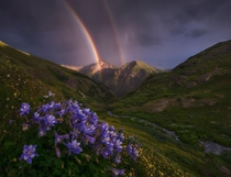 Rainbows and Columbines in the San Juans of Colorado  OC