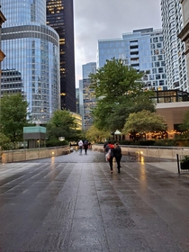 Rainy Chicago Promenade 