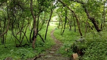 Ralamandal Forest in Indore India 