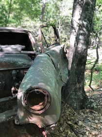 Ran across a ton of really old cars in Providence Canyon State Park in Georgia Signage said the cars were abandoned when the homestead that used to be on the property was vacated Now the state has deemed them too costly and damaging to the environment to 