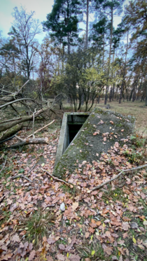 Randomly found an abandoned bunker in the military area forest